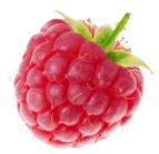 時哲企業有限公司