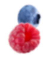 時哲企業有限公司