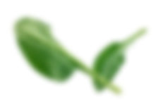 時哲企業有限公司