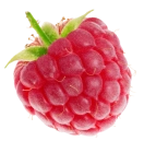 時哲企業有限公司