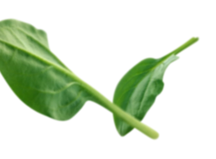 時哲企業有限公司