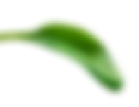 時哲企業有限公司