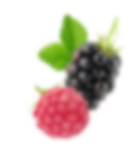 時哲企業有限公司